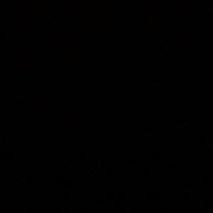 Meet your Posher, Erwin